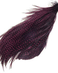 Metz Premium Neck Hackle