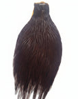 Dark coachman Neck Cape Australia