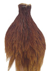 Ginger neck hackle Australia NZ