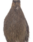 Medium chocolate dun neck hackle Australia NZ
