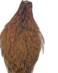 Coachman neck hackle Australia NZ