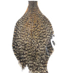 Golden Grizzly Fly Tying Cape Neck Australia