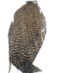 Golden Grizzly Fly Tying Cape Neck Australia