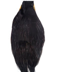 Very Dark Coachman Fly Tying Cape Neck Australia