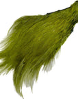 Olive fly tying neck