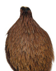 Ginger neck hackle Australia NZ