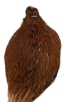 Small Ginger neck hackle Fly tying Australia NZ