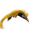 Veniard Golden Pheasant Topping Crest 1st Quality yellow Australia
