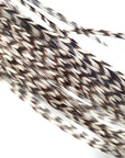 Whiting Spencer Metz Saddle feathers Grizzly Australia