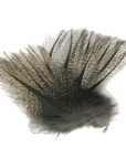 Petitjean COQ pardo Feathers 12 Pack Australia