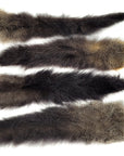 Possum tail australia