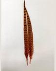 Ringneck tail twin pack - Wapsi
