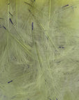 Petitjean CDC Feathers 1 Gram