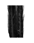 Ringneck tail twin pack - Wapsi