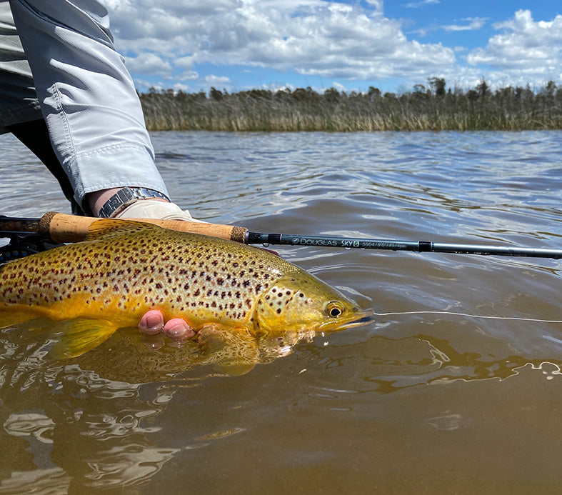 Best Fly rod Sky G, Tasmania Australia 