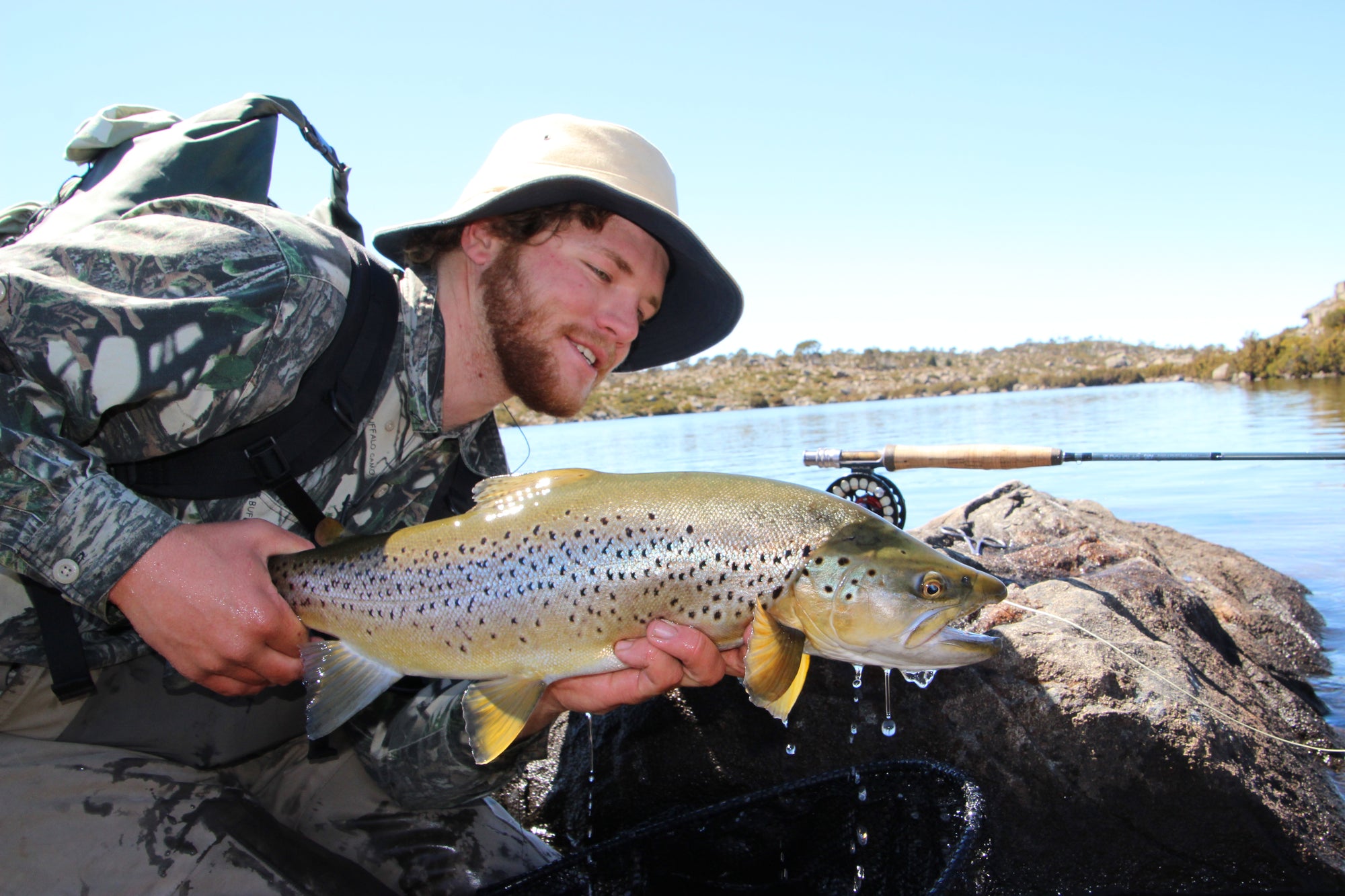 Weekly Hatch Chart and Hot spots.