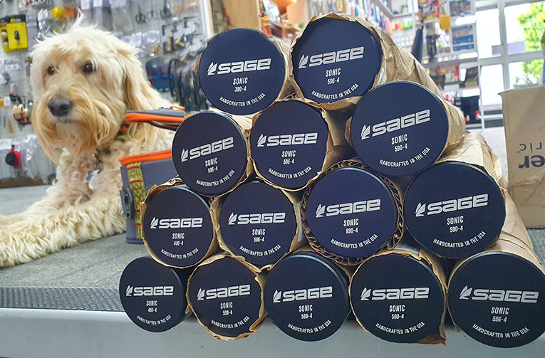 An interesting review of the Sage Sonic compared with Sage X and Sage LL by Peter Morse.