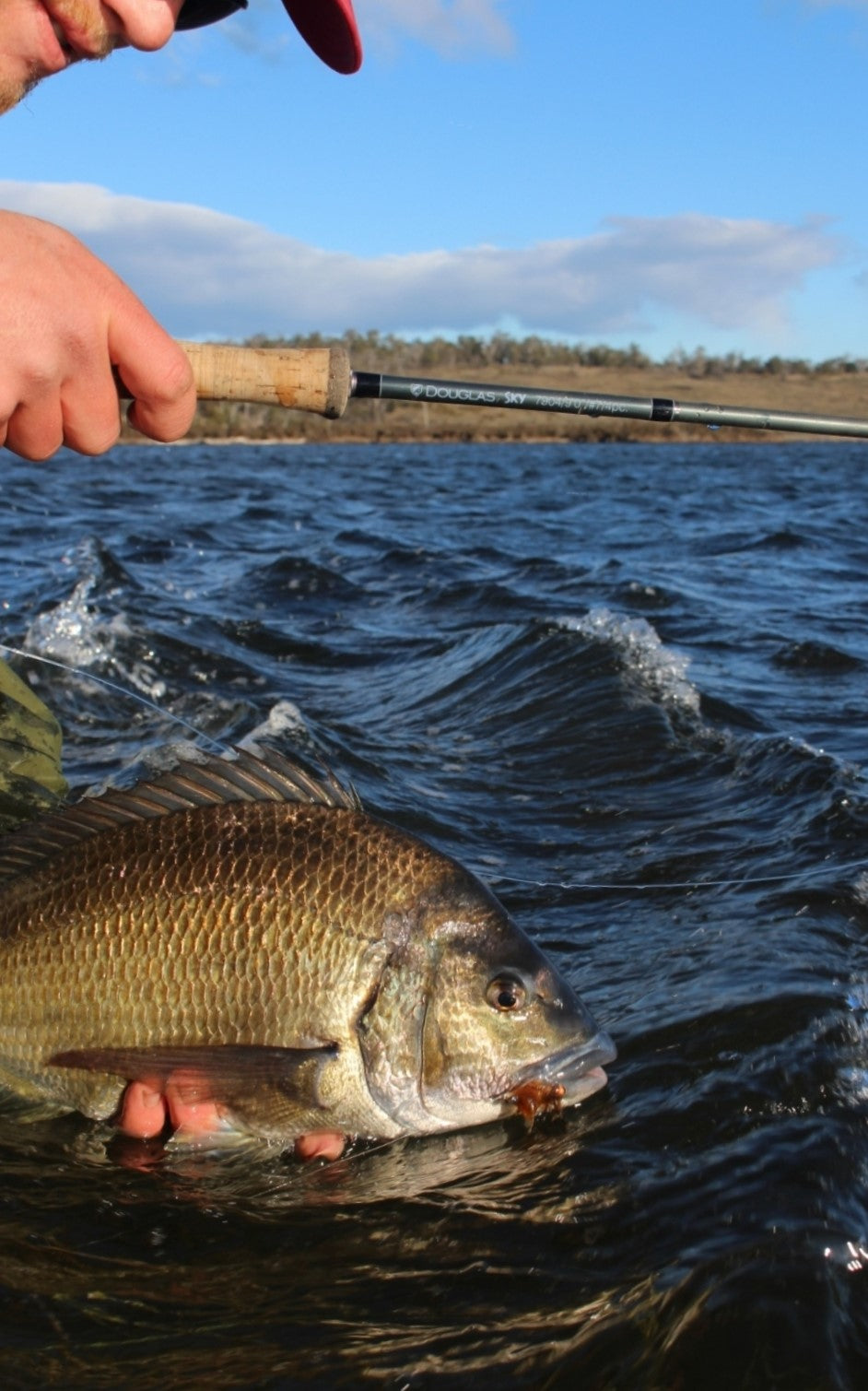 Weekly Hatch And Hot Spots - Saltwater's warming up.