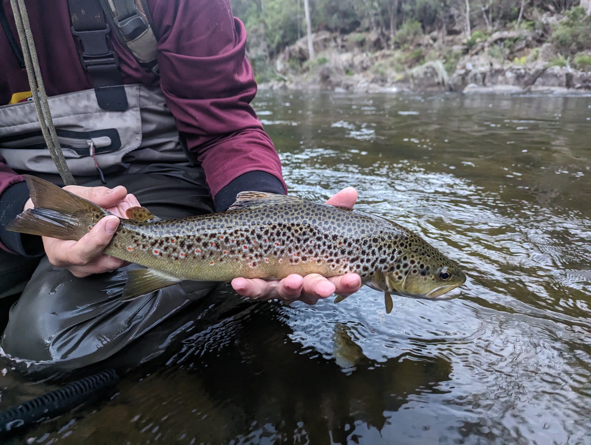 Get out fishing this Easter long weekend!