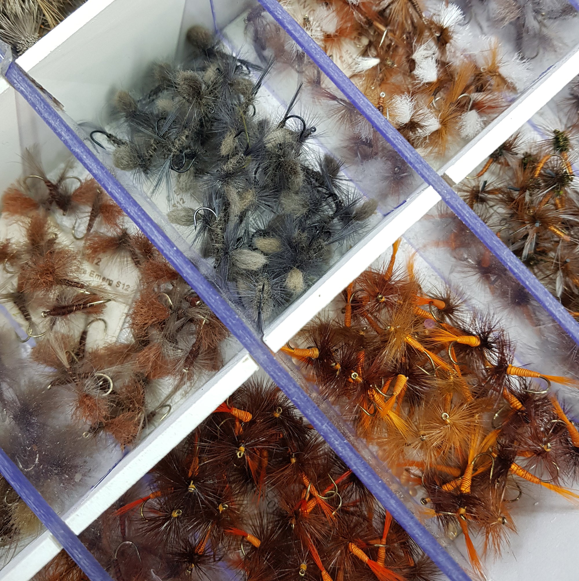 Dry Flies for Trout Fishing