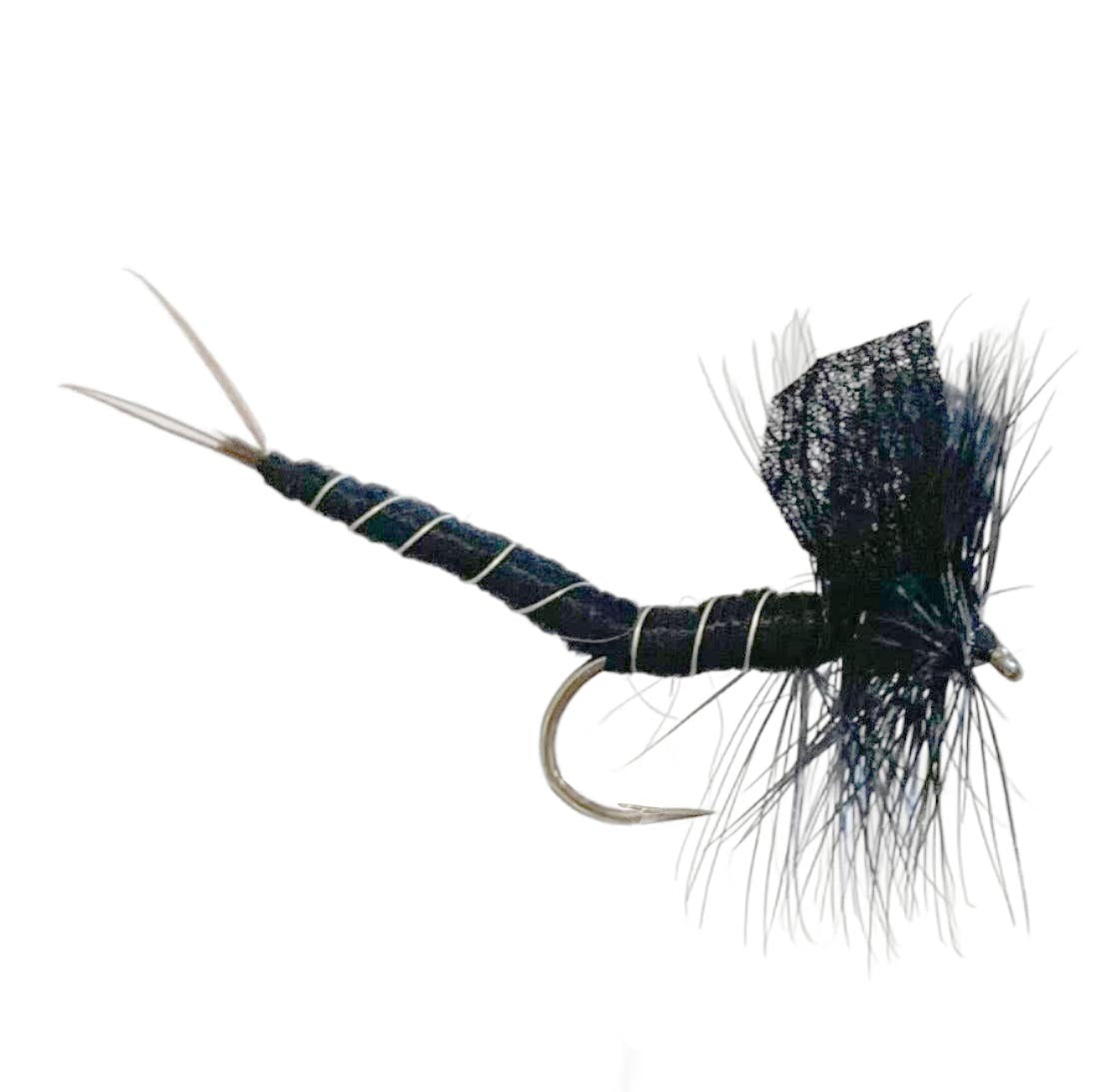 Black Mayfly Extended body Fly Fishing Dry Fly Best Australia New Zealand Tasmania 