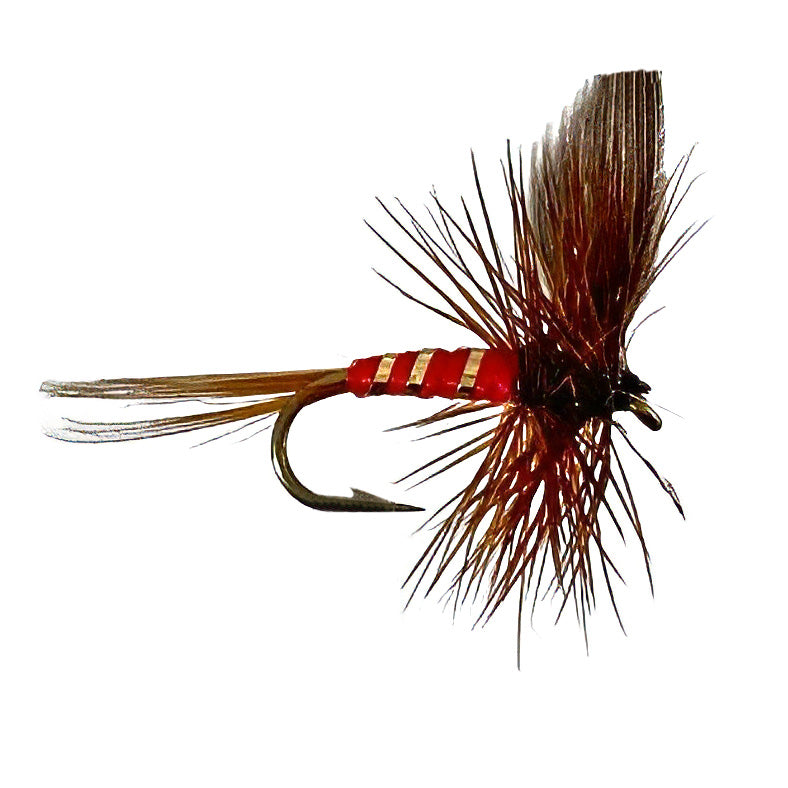 Red Spinner New Zealand Tasmania