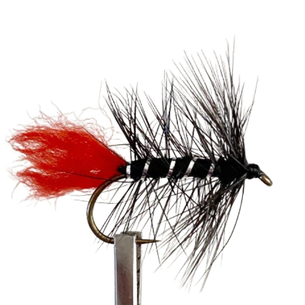 Fly Fishing Dry Fly Australia New Zealand Best Fly Pattern Zulu