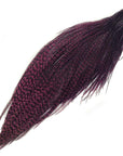 Metz  Premium Neck Hackle