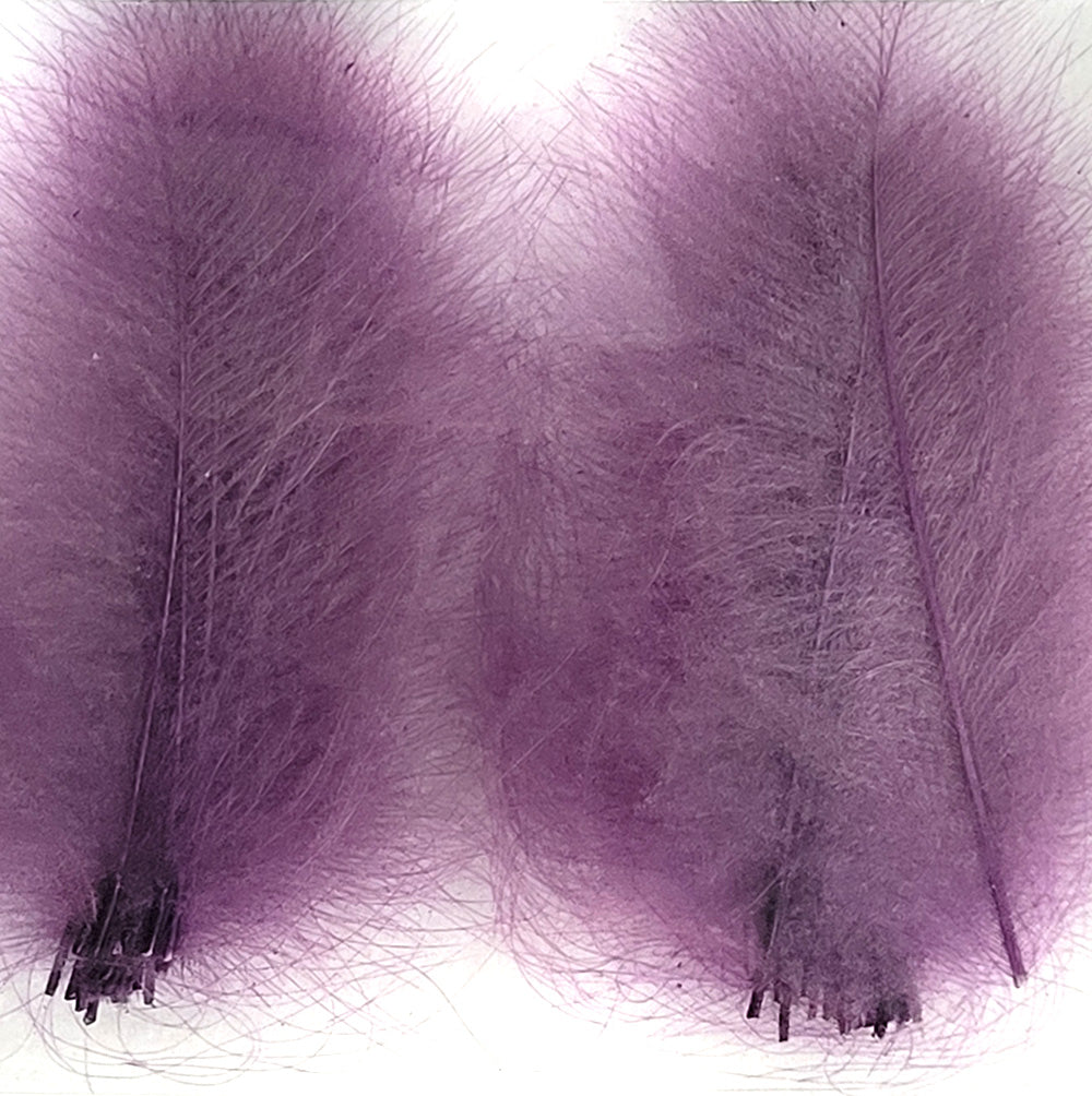 CDC Premium feathers 50 pack Australia New Zealand Fly tying