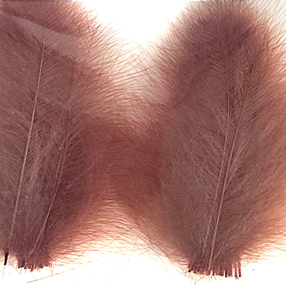 CDC Premium feathers 50 pack Australia New Zealand Fly tying