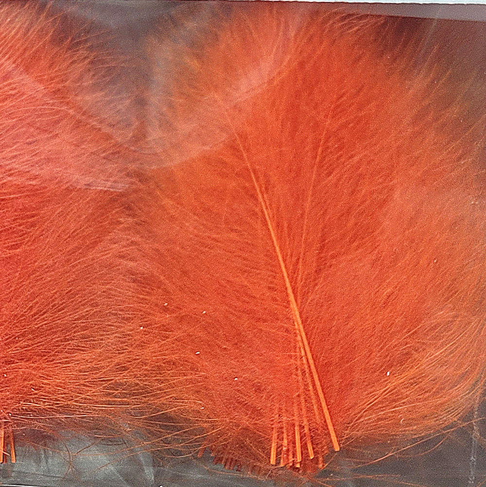 CDC Premium feathers 50 pack Australia New Zealand Fly tying