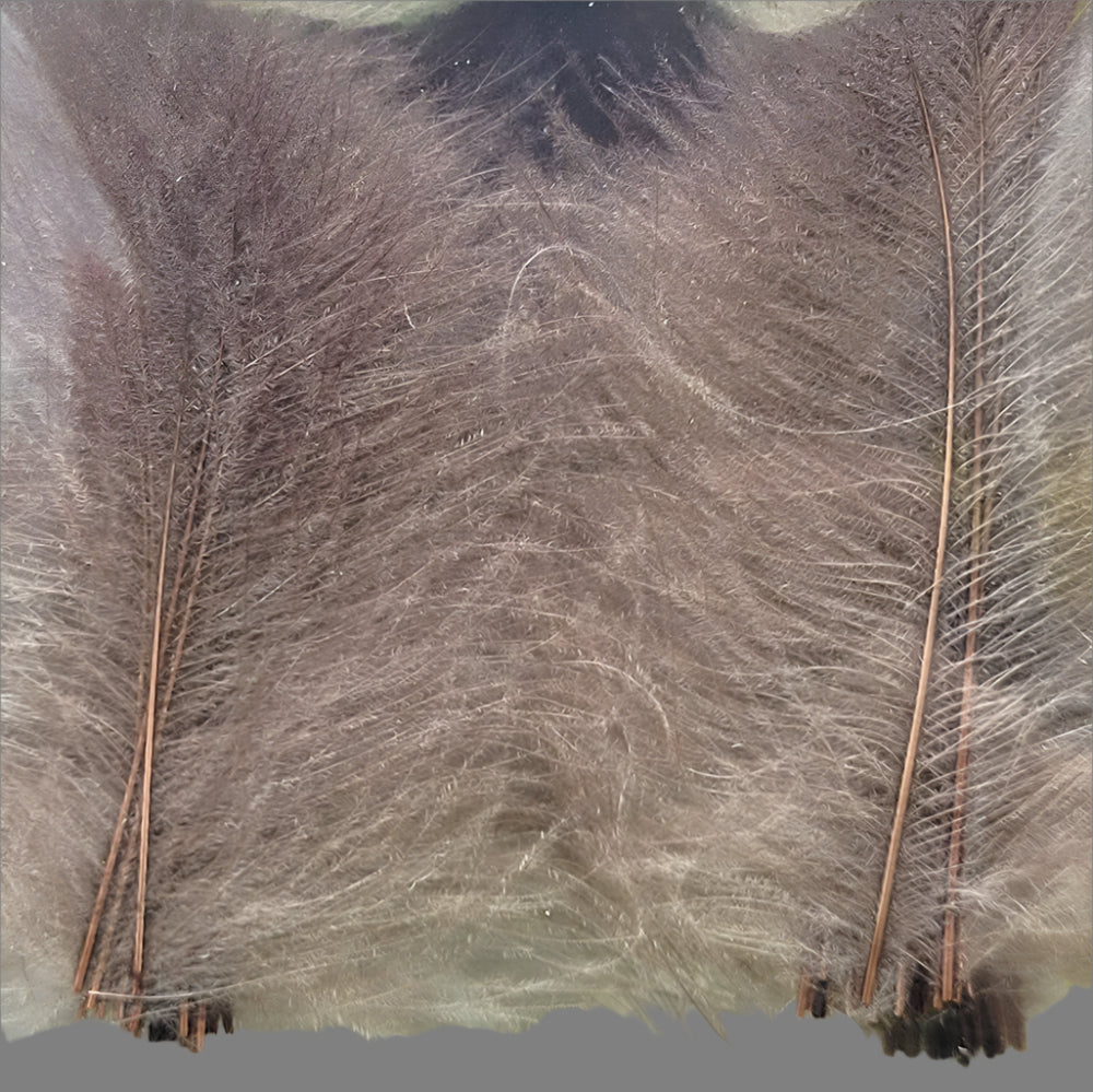 CDC Premium feathers 50 pack Australia New Zealand Fly tying