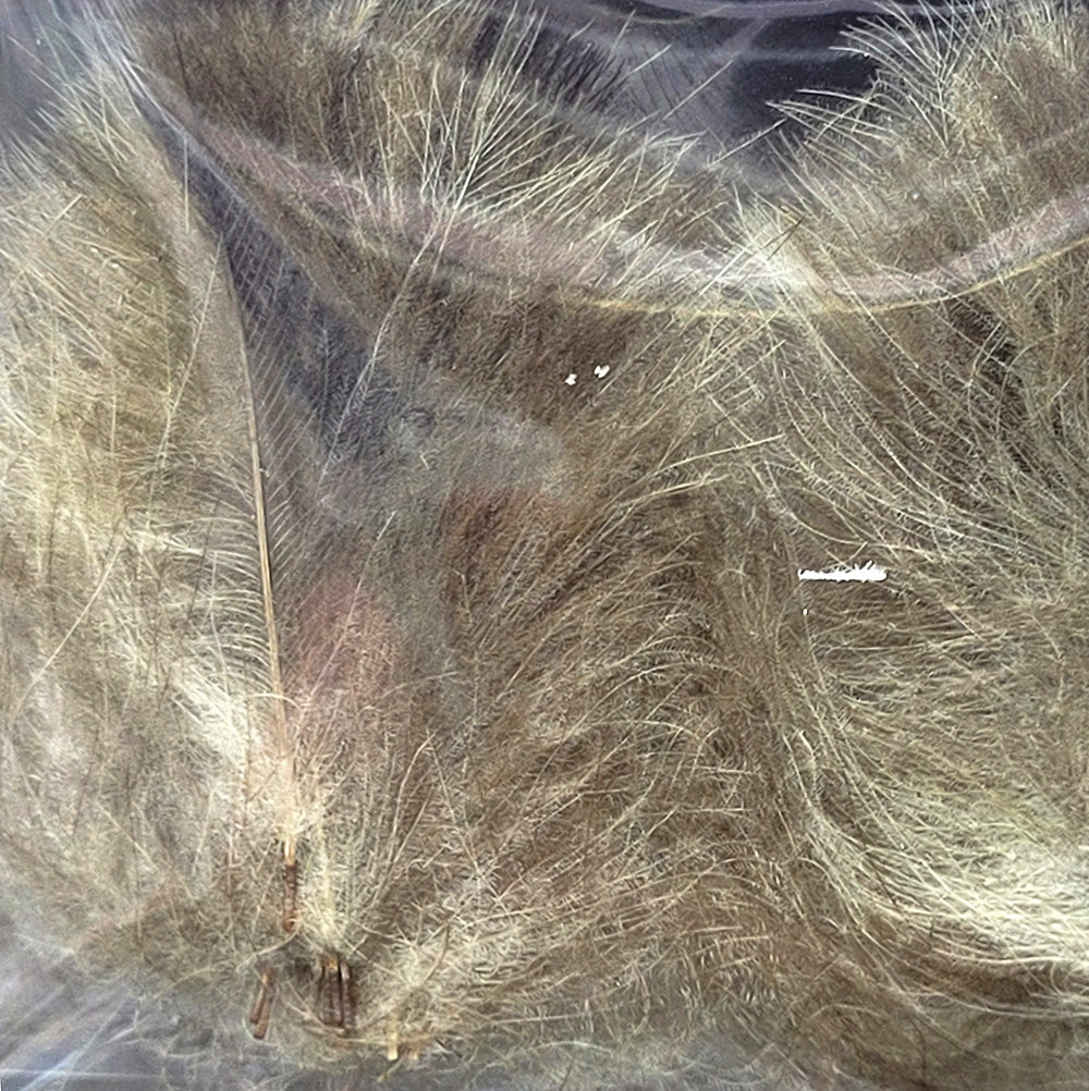 CDC Premium feathers 50 pack Australia New Zealand Fly tying