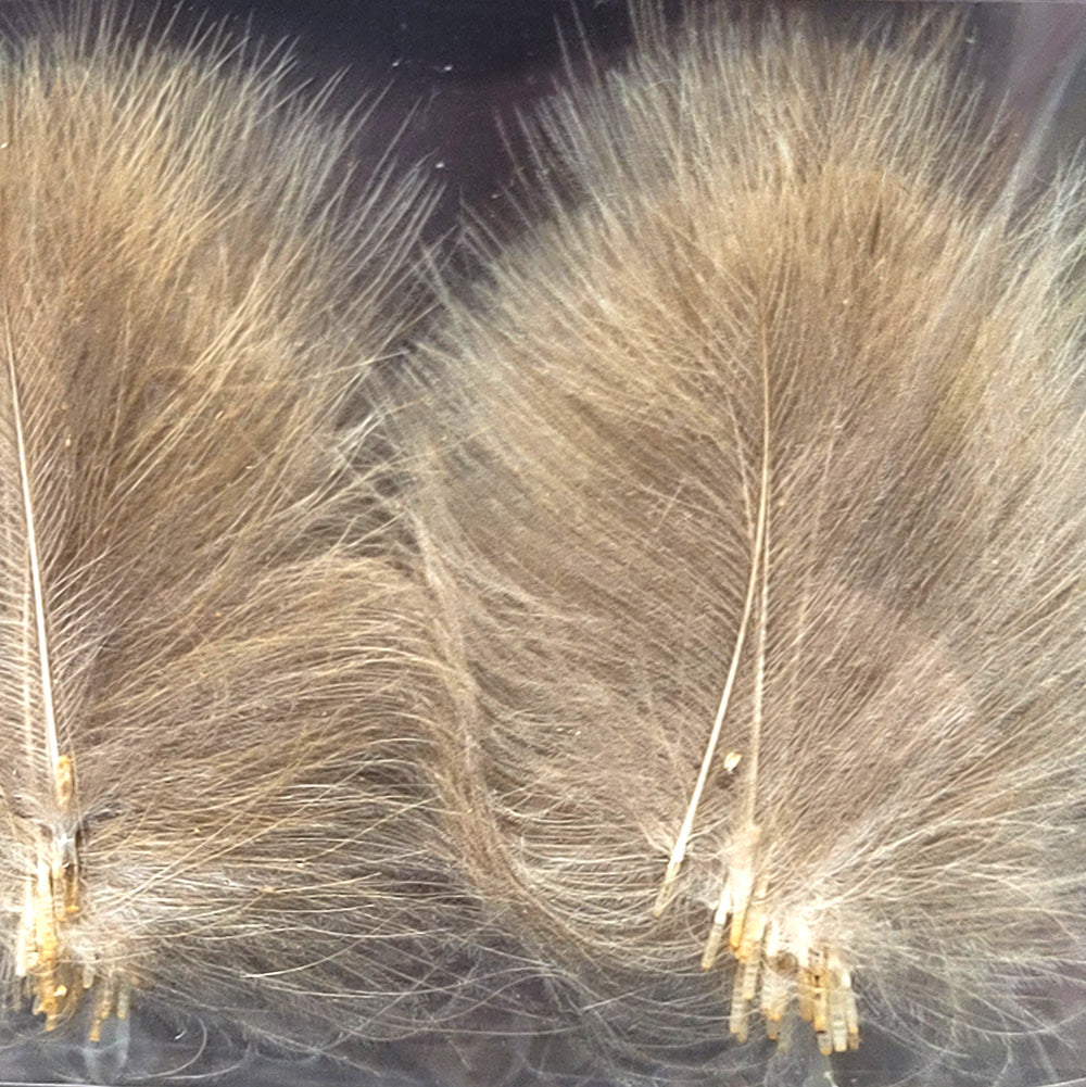 CDC Premium feathers 50 pack Australia New Zealand Fly tying