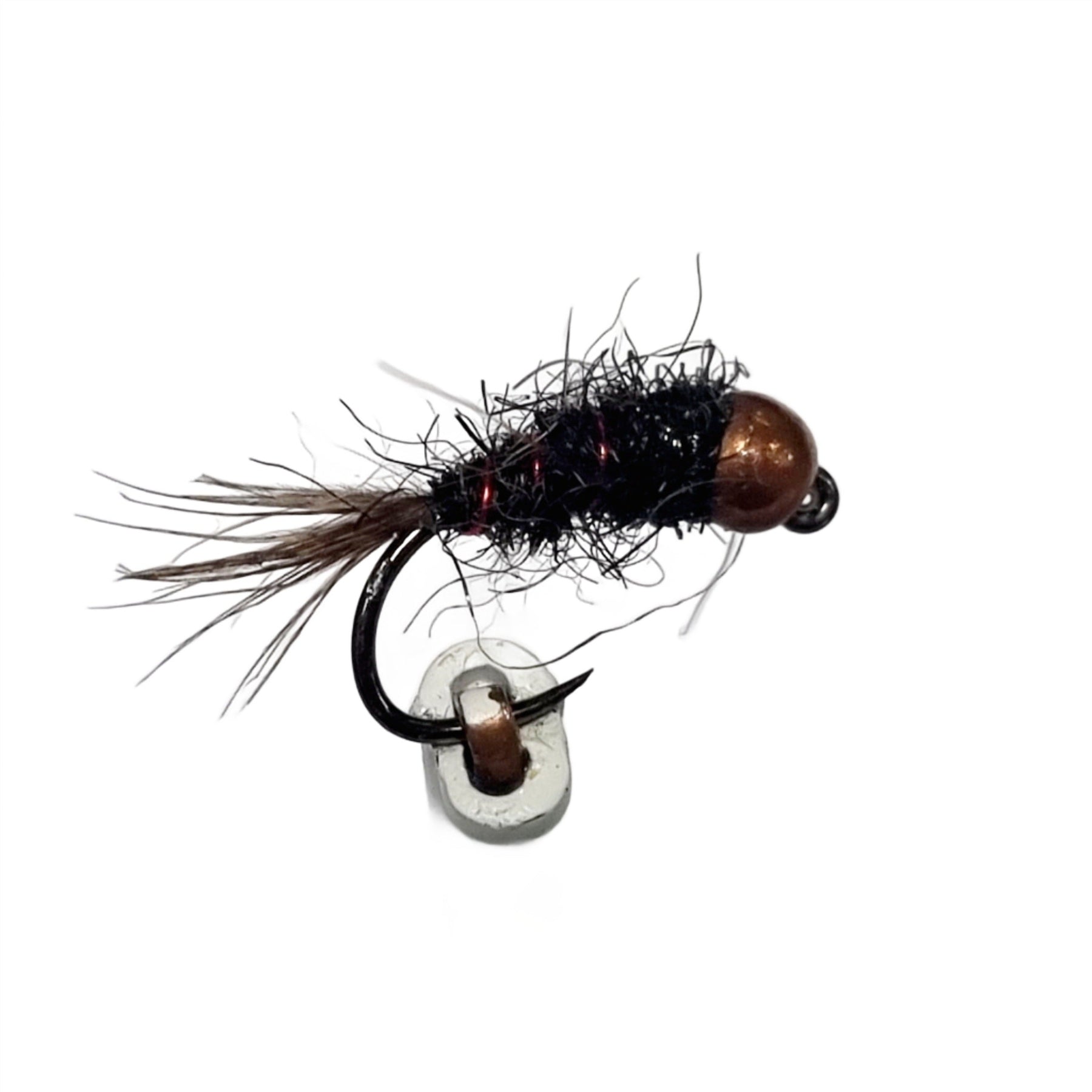 ESS41 CHOCOLATE NYMPH BH AUSTRALIA NZ