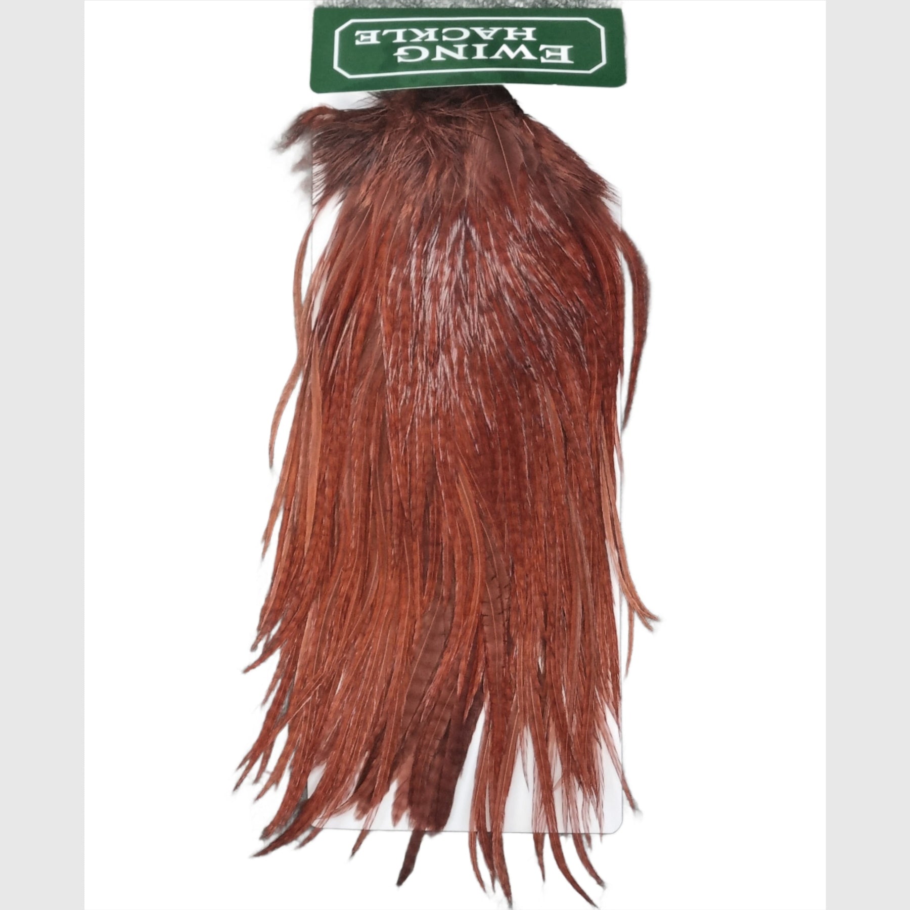 Ewing Saddle Hackle Brown Australia NZ