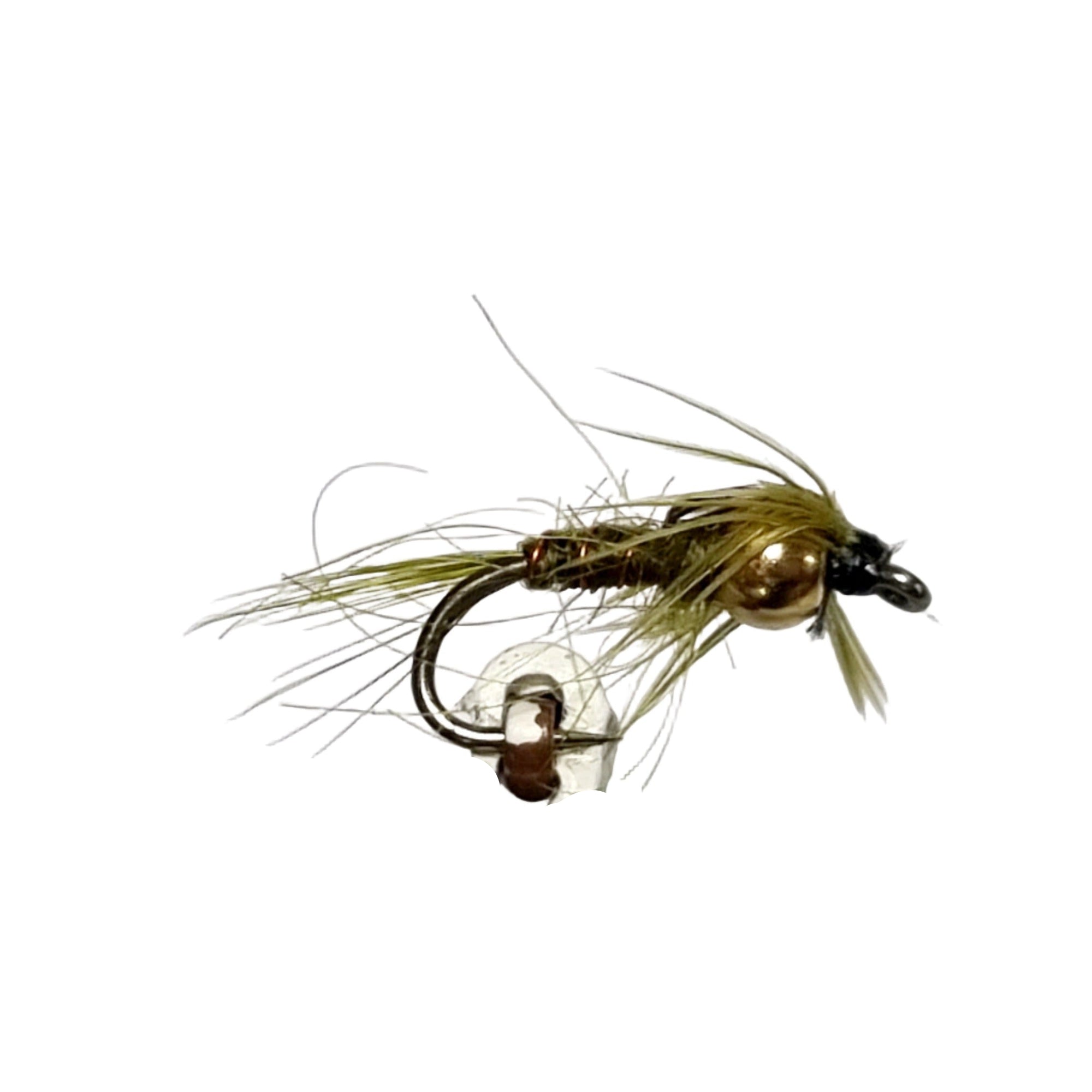 SEALS FUR GREEN TUNG B/H Australia NZ