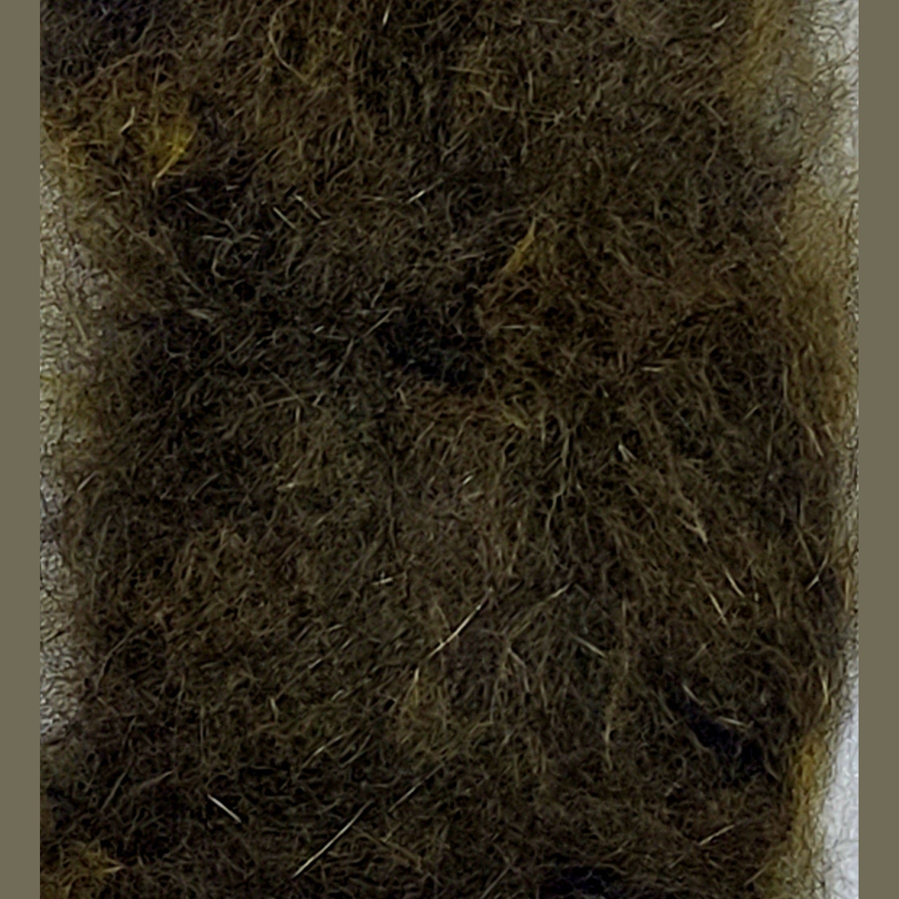 Awesome Possum - Wapsi