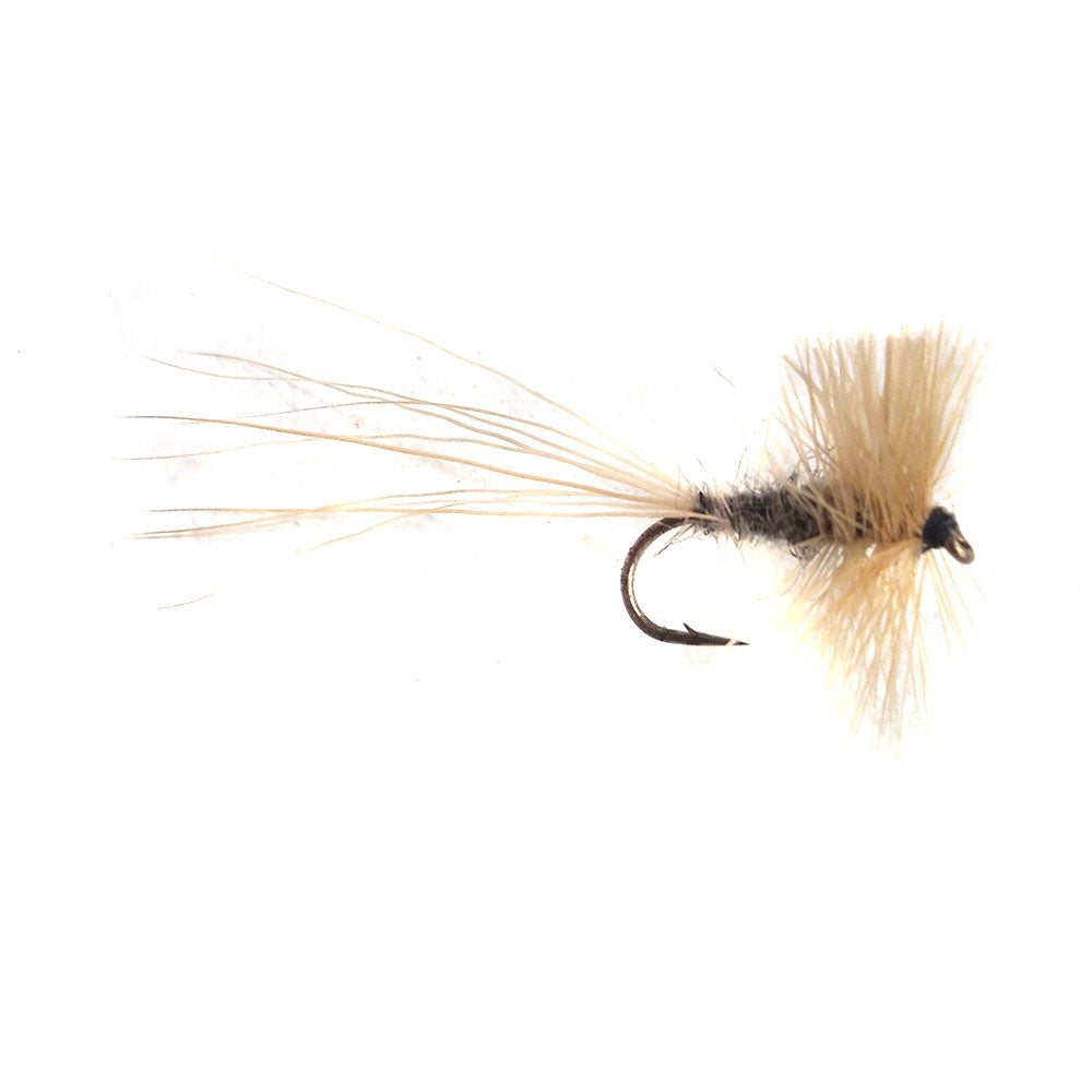 Long Tail Snowflake Caddis Australia