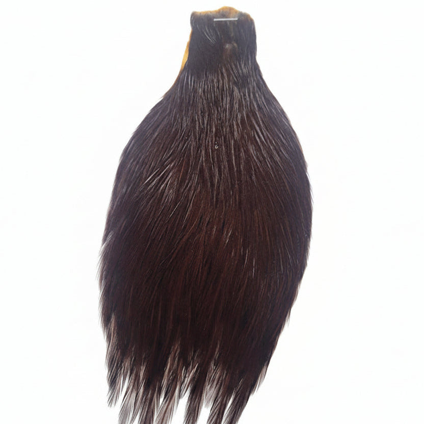 1 Hackle Neck Cape Australia