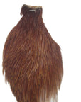 Ginger neck hackle Australia NZ