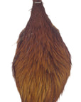 Ginger neck hackle Australia NZ