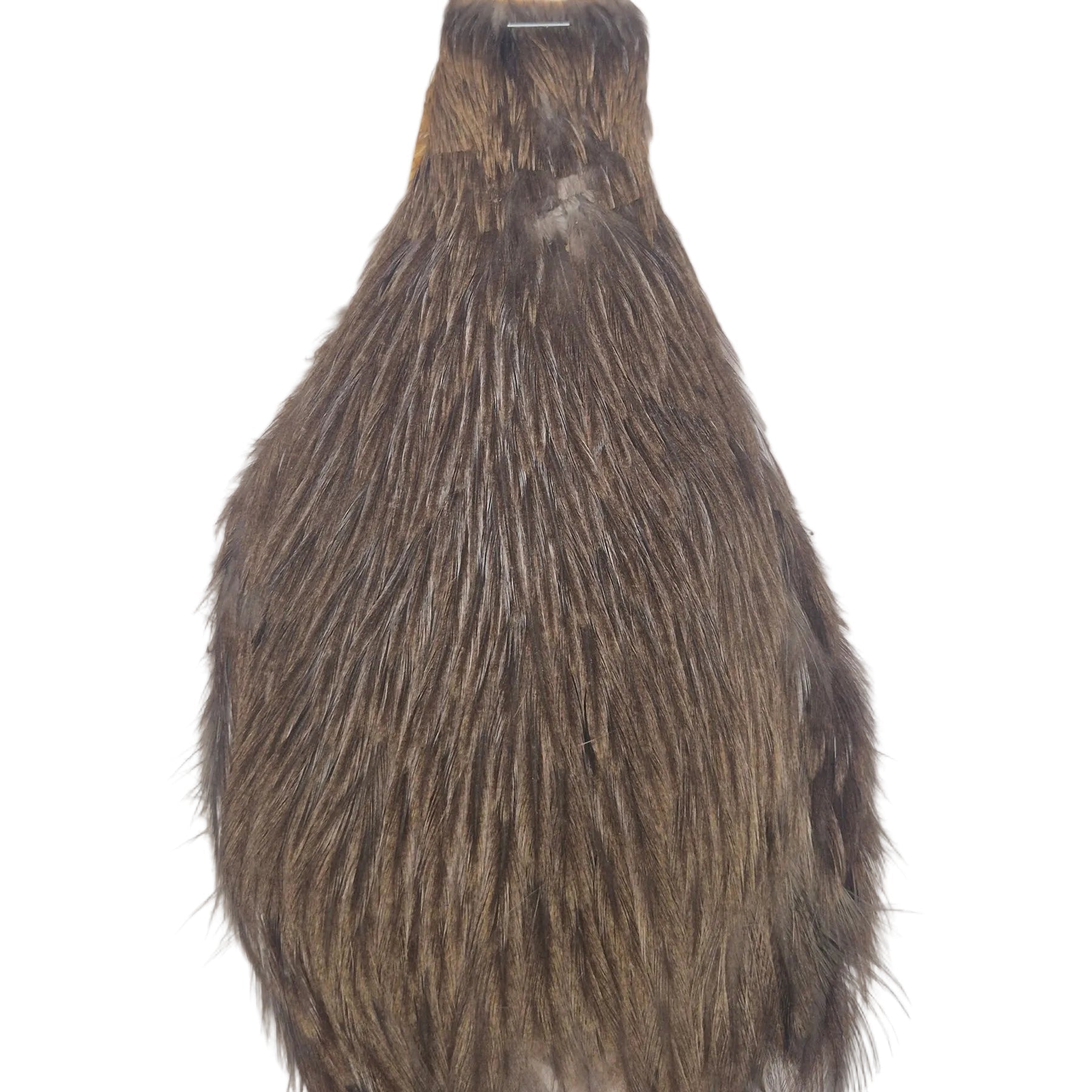 Medium chocolate dun neck hackle Australia NZ