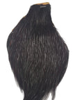 black neck hackle Australia NZ