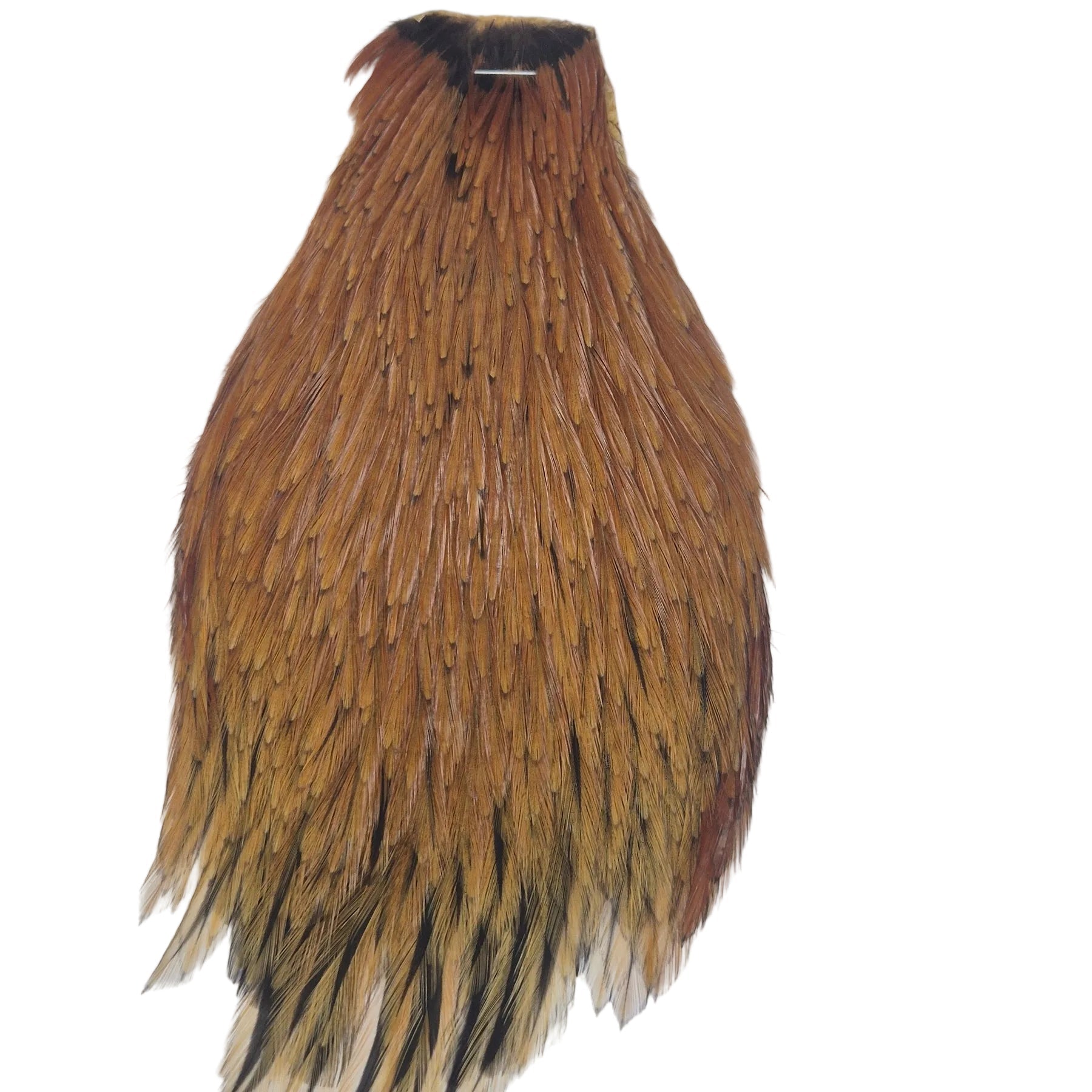 Coachman neck hackle Australia NZ