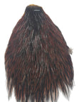 Dark coachman neck hackle Australia NZ