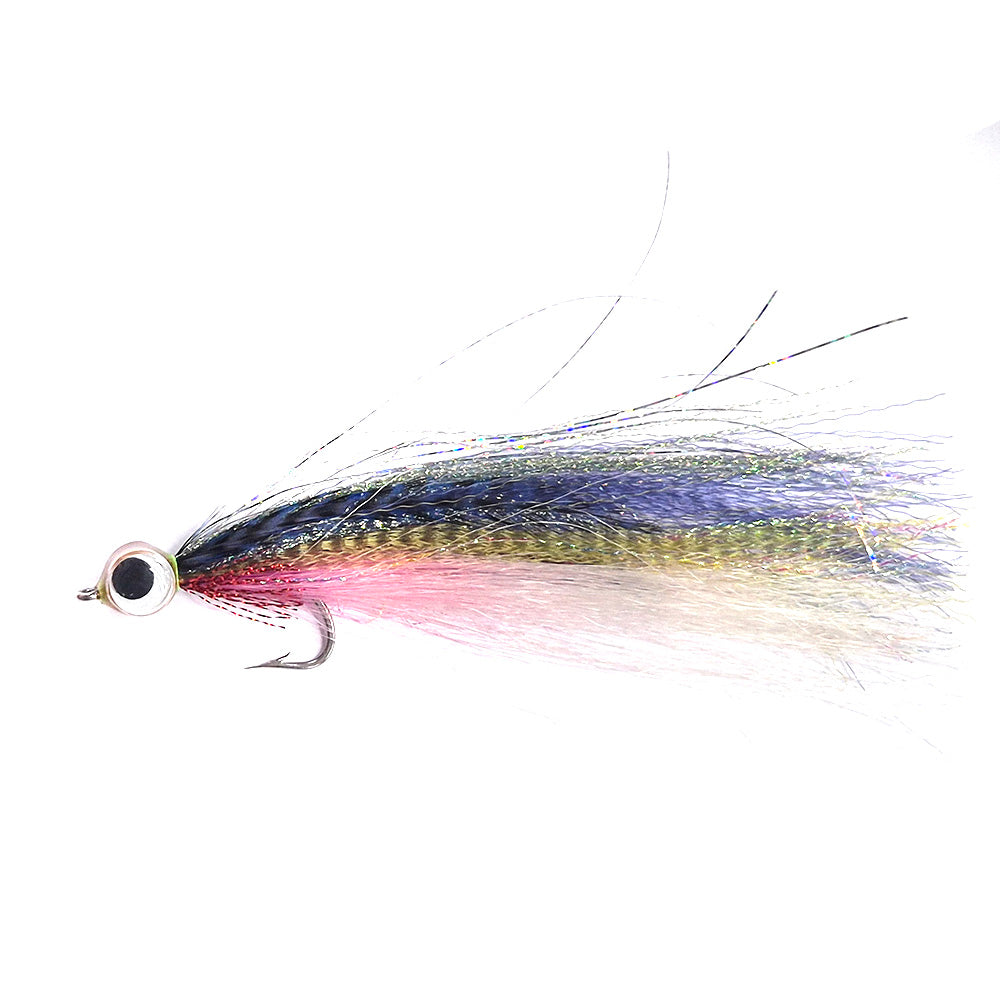 Flashy Abel's Anchovy 9504