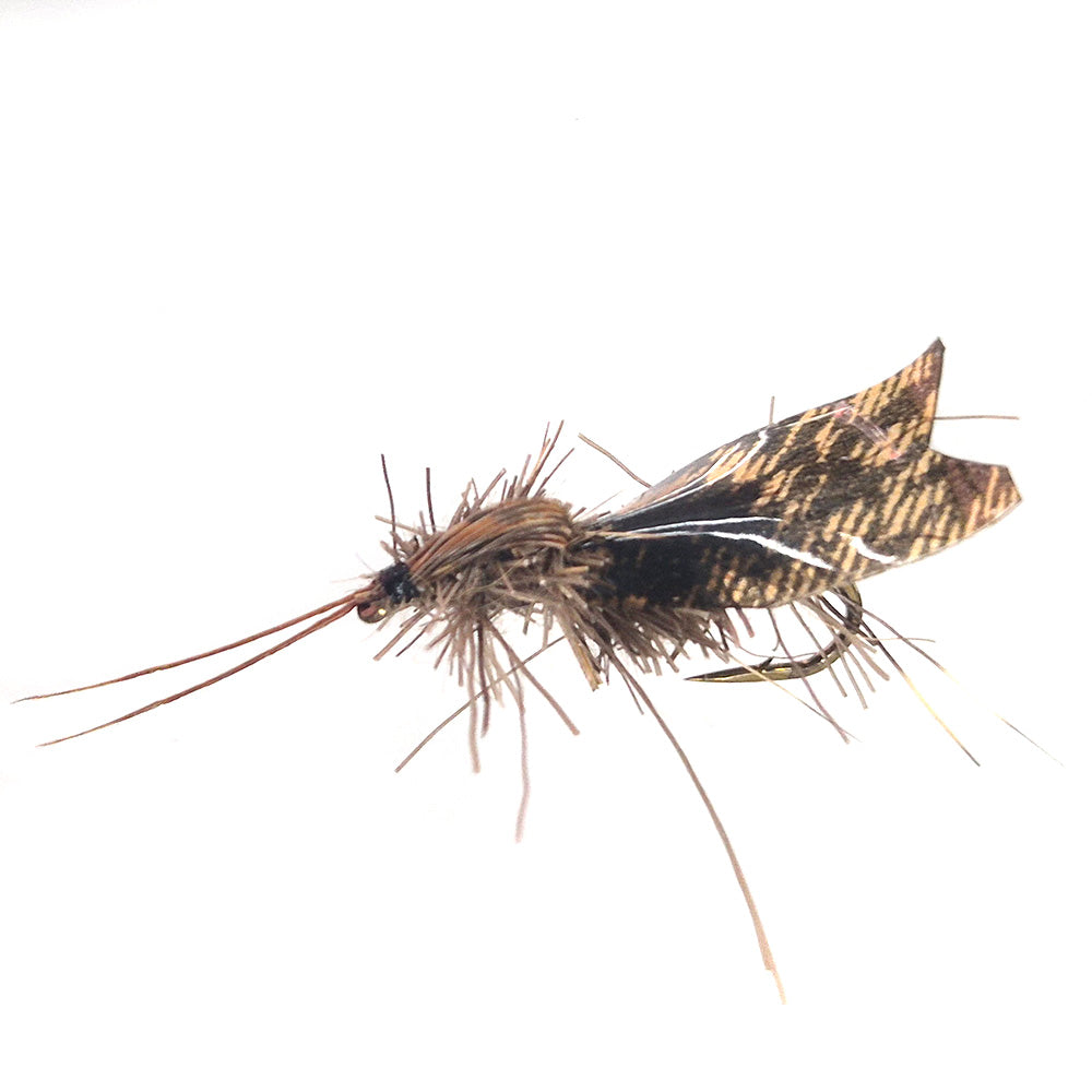 Hairy Caddis flies x 6