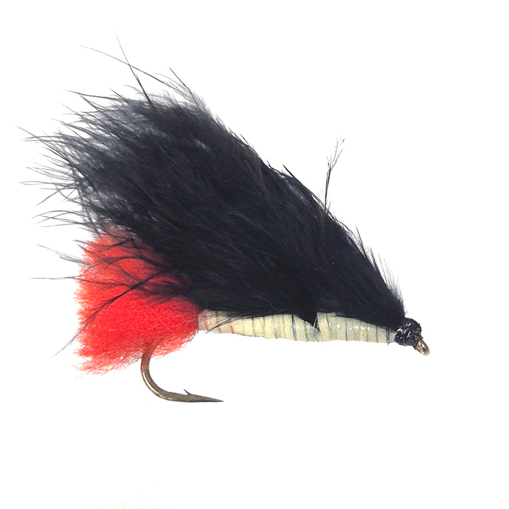 Craigs Nighttime Night Time Lumo fly Tasmania Australia New Zealand NZ