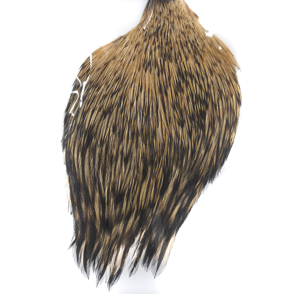 Golden Badger Fly Tying Cape Neck Australia